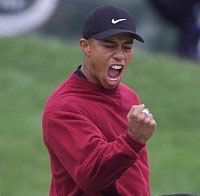 Tiger Woods Fist Pump